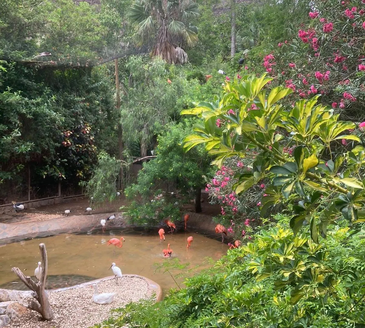 Flamingos Nest Koka Room 1604 San Bartolomé Lejlighed